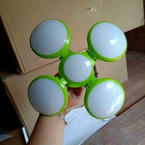 Đèn led trái banh 20w DSY 21