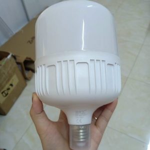 Đèn Led Bulb Ánh Sáng Trắng Dsyt100-30w (bọc Nhôm) 29