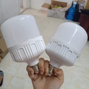 Đèn Led Bulb Ánh Sáng Trắng Dsyt100-30w (bọc Nhôm) 30