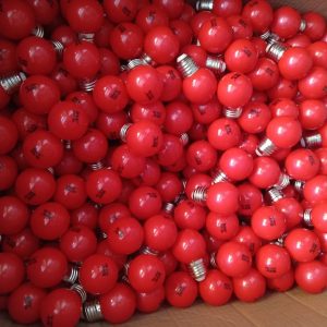 Đèn led bóng chanh nháy đủ màu DSY 66