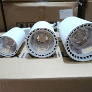 Đèn Rọi Ray 10w Cob Dsycob-1229a 33