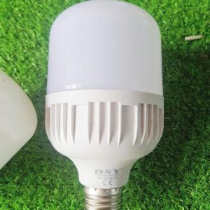 Đèn Led Bulb Ánh Sáng Trắng Dsyt100-30w (bọc Nhôm) 21