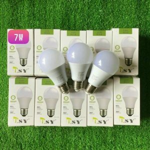 Đèn Led Bulb Ánh Sáng Trắng - Vàng Dsya70-15w 31