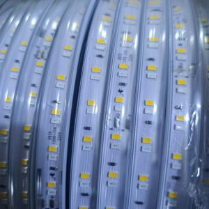 Dây Led Cuộn Bản Mạch 1 Hàng Led Siêu Sáng 12w/m 3 Chế Độ Ánh Sáng Vàng Ấm+xanh
Dương+ Tím Dsymdl2835-110d- 12mm