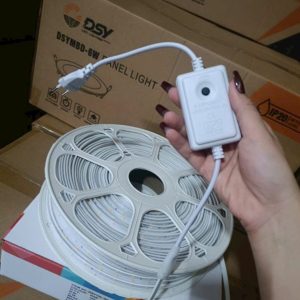 Phích Cấm Bản Mạch 2 Hàng Led Rgb 12mm Dsydm 2835 Rgb 96d 12mm