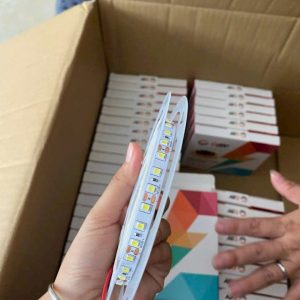 Led Dán 12v 180led 10mm 13w Ánh Sáng Vàng + Trung Tính + Trắng Dsyld2835-5m-12v- 180 Led 23